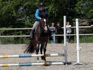 20090606_140558_0143_eriksen_isabell_brownie