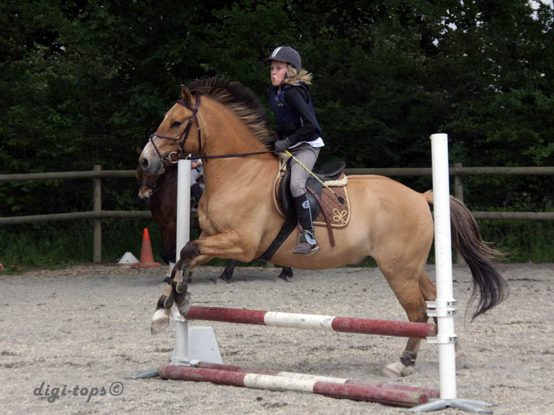 20090606_144436_0014_gullstrand_wilma_jh-frasse