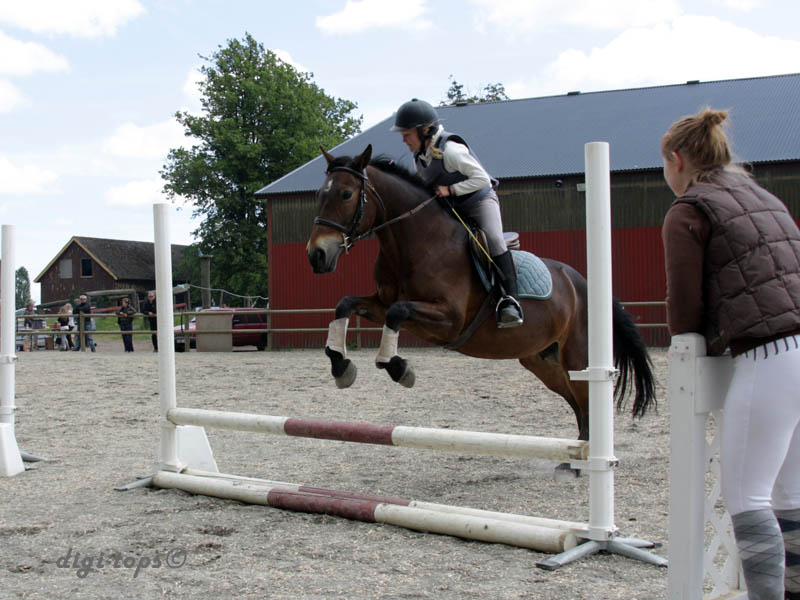 20090606_144544_0016_nielsen_ida_destiny