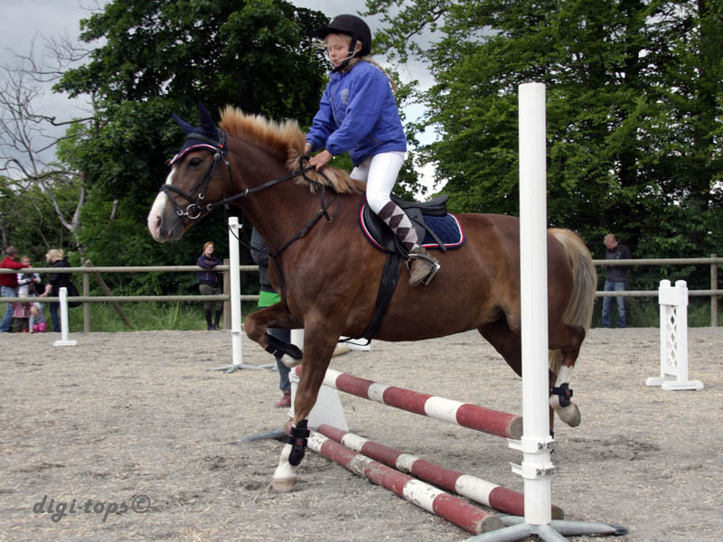 20090606_144718_0020_persson_my_madonna