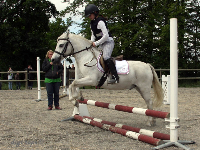 20090606_145622_0042_sterner-persson_elin_vallentime