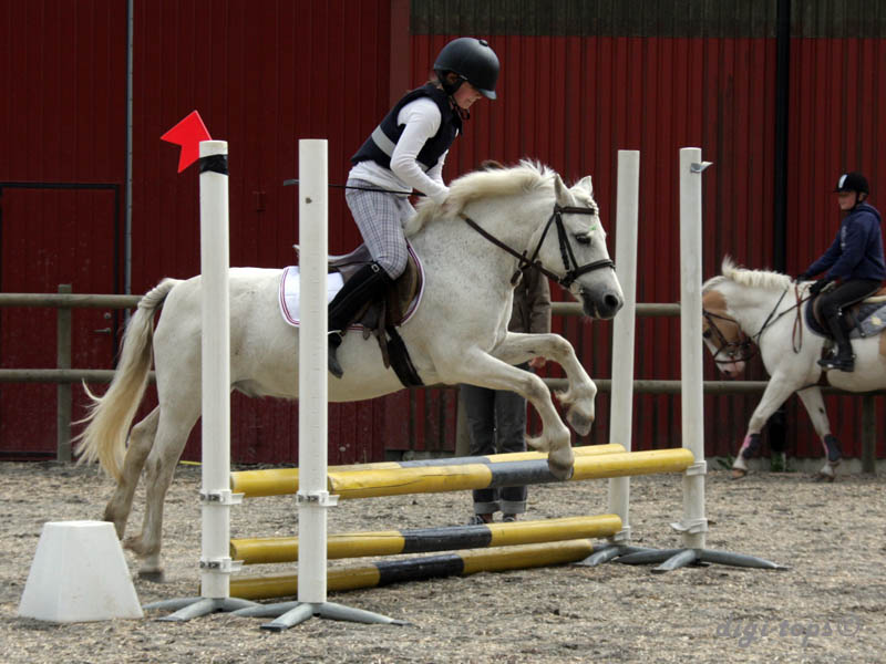 20090606_145652_0043_sterner-persson_elin_vallentime