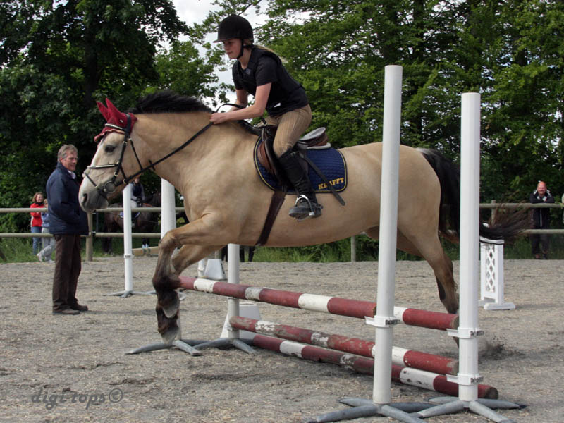 20090606_153554_0066_tynell_andrea_nellie