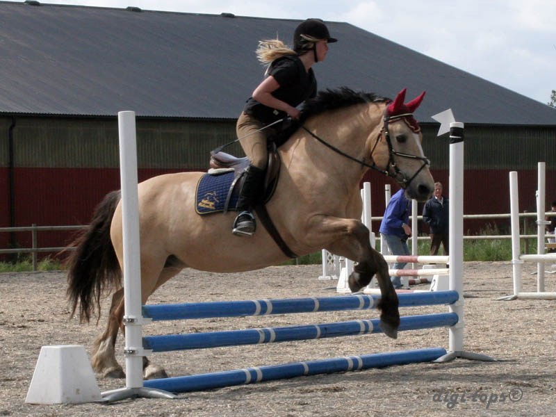 20090606_153710_0286_tynell_andrea_nellie