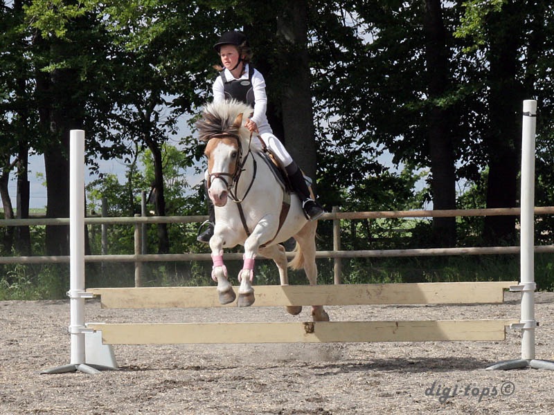 20090606_154816_0303_eden_felicia_gizmo