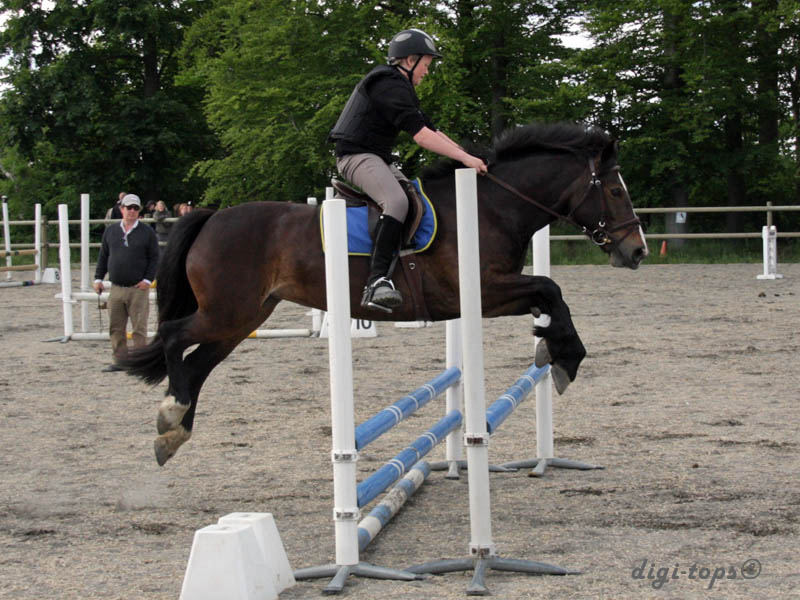 20090606_162522_0122_johansson_hugo_brownie