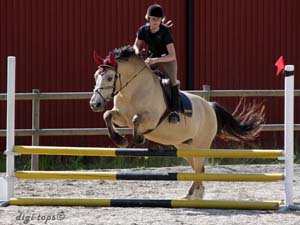 20090606_161436_0097_tynell_andrea_nellie