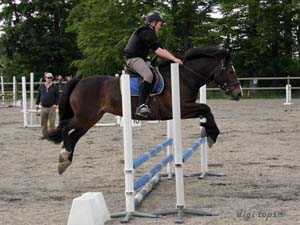 20090606_162522_0122_johansson_hugo_brownie