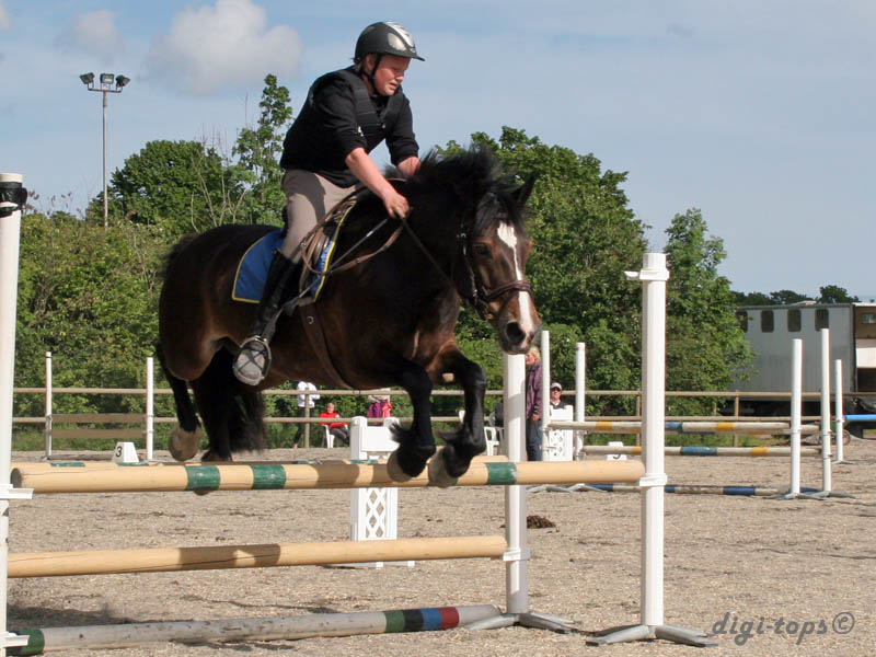 20090606_165556_0374_johansson_hugo_brownie