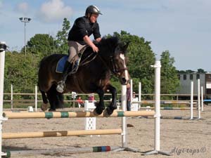 20090606_165556_0374_johansson_hugo_brownie