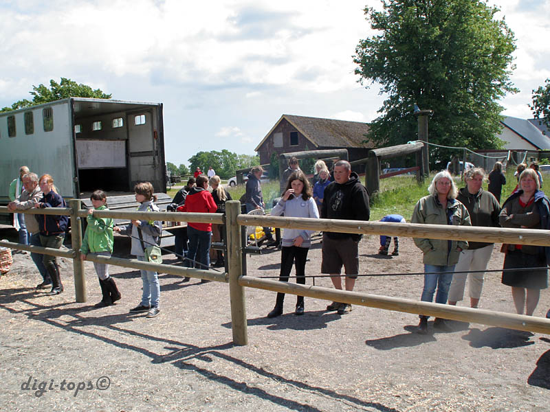 20090606_131354_0025