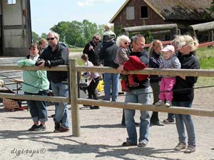 20090606_140902_0151