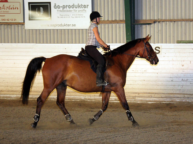 20090818_193116_0016