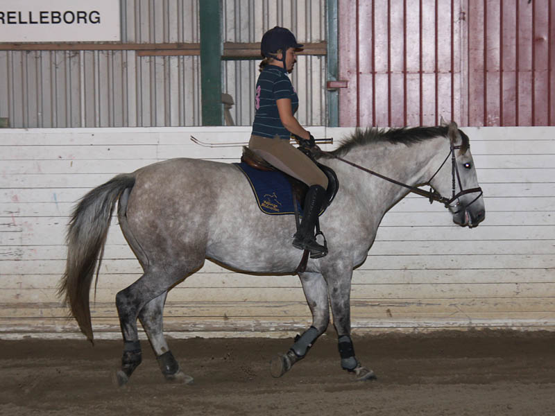 20090818_195444_0037