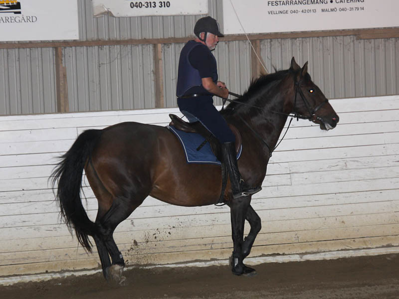 20090818_195712_0043