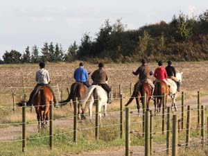 20090818_190538_0004