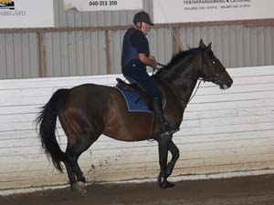 20090818_195712_0043