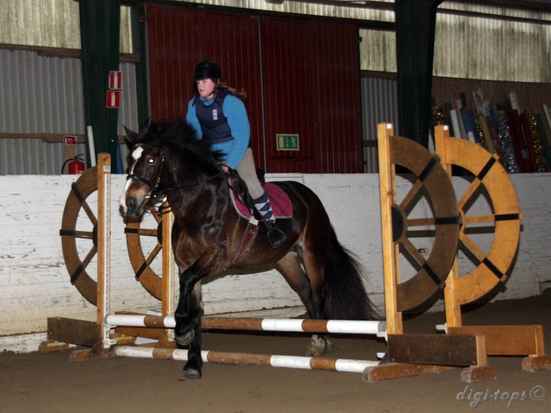 20091227_113930_0046 isabell eriksen brownie