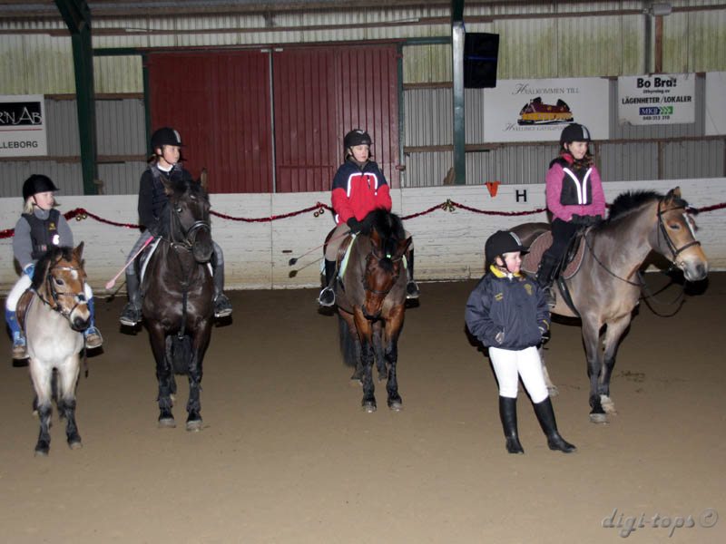 20091227_115912_0080