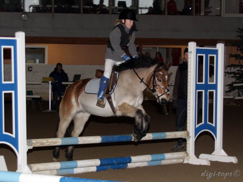 20091227_121708_0094 sara nilsson maja