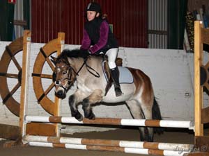 20091227_123346_0124 emmie norin maja