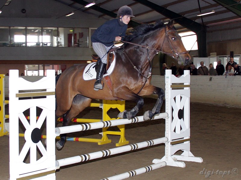 20100513_150446_0398 Petra Missler Nova