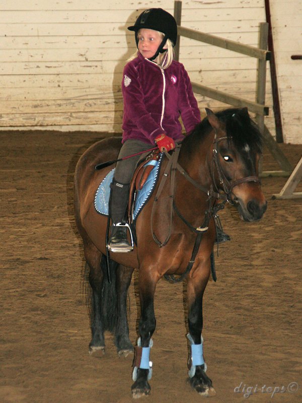 20100513_121302_0033