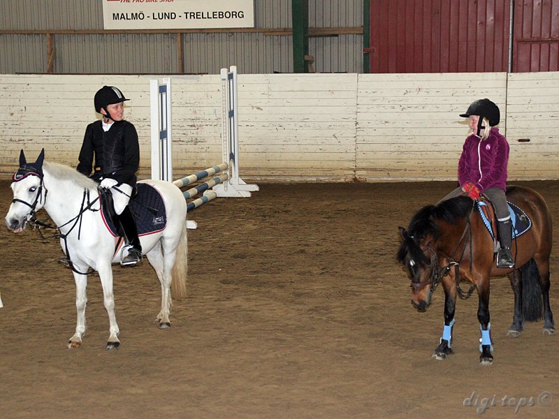 20100513_124312_0039