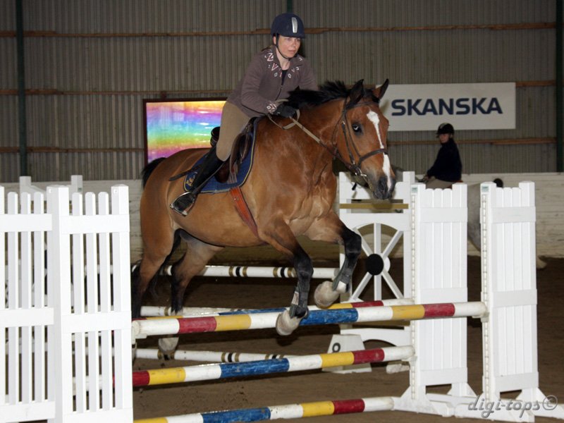 20100513_142938_0352 Lene G Jacobsen Lancer