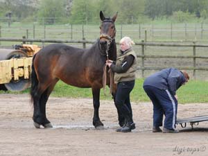 20100513_104600_0005