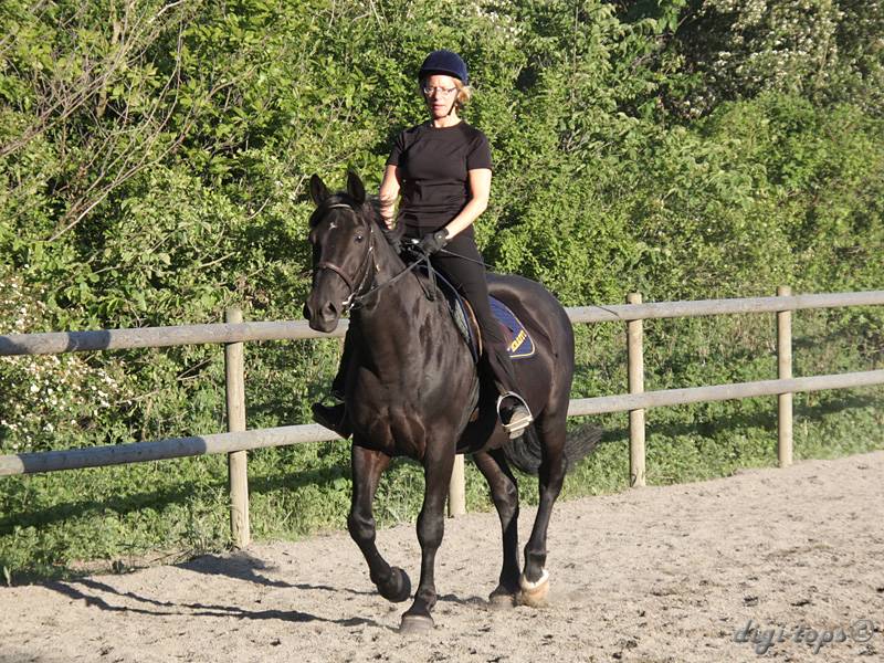 20100616_194858_0001