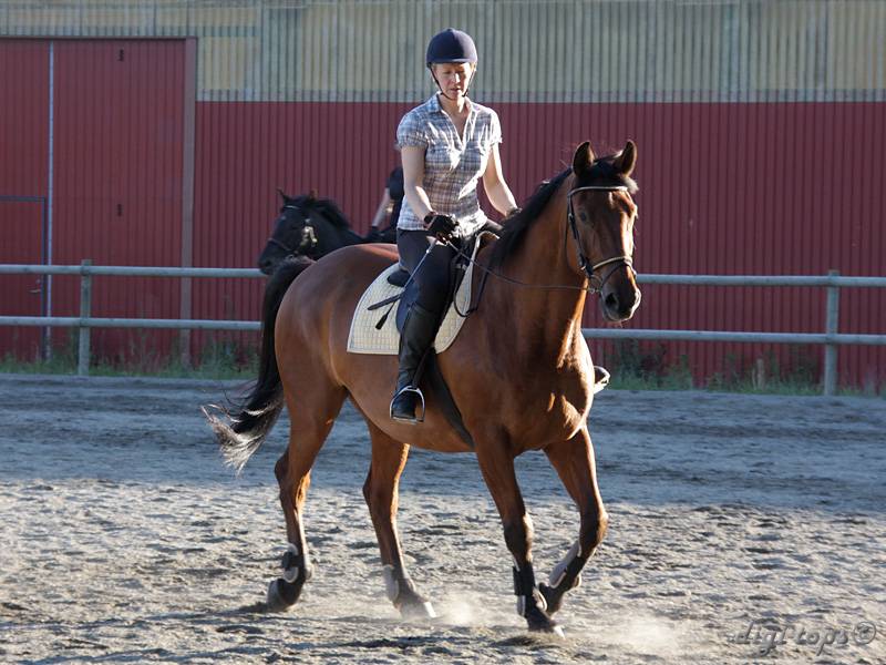 20100616_194922_0003