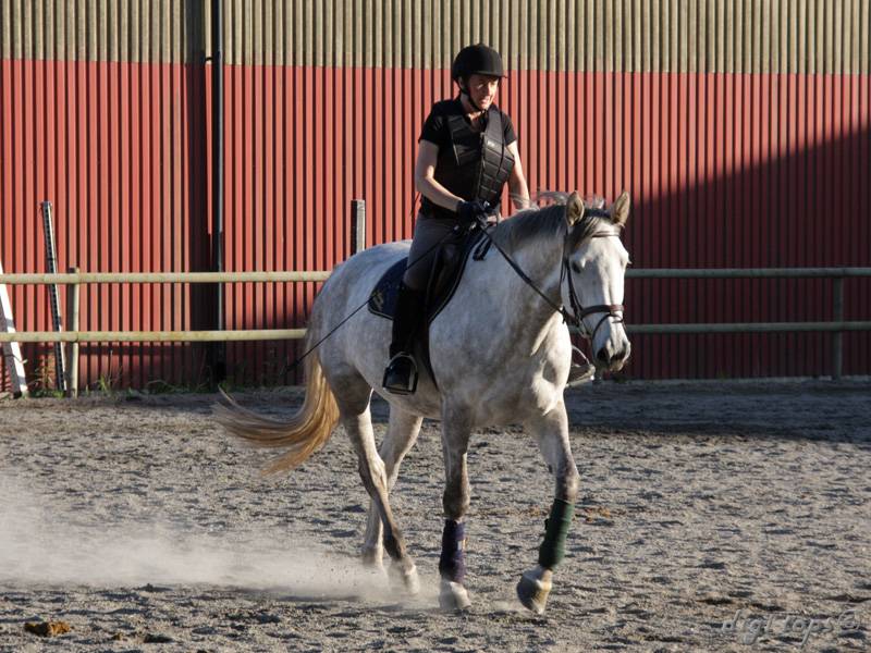 20100616_195126_0014