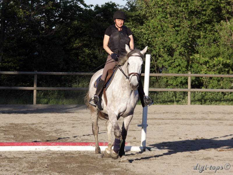 20100616_195942_0025