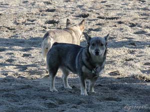 20100616_195748_0024