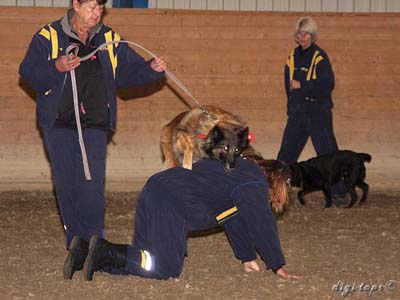 20111016_133444_0170