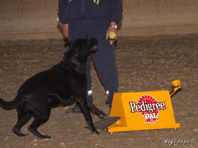 20111016_135742_0189