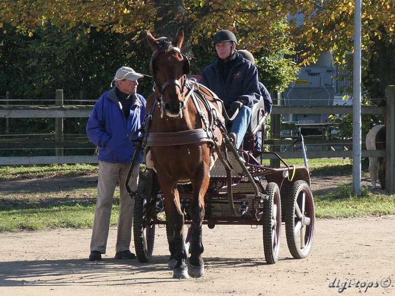 20111016_121658_0046