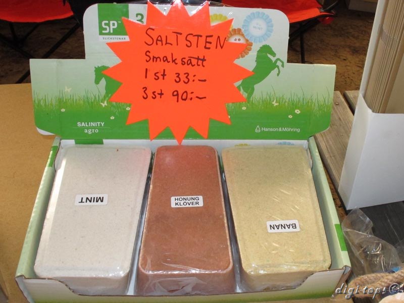 04_20111016_115316_0030