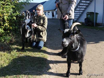 02_20111016_142969_2185