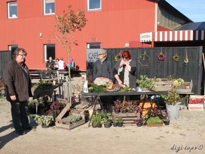 03_20111016_113736_0023