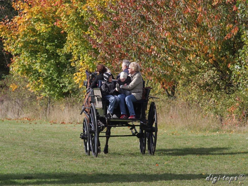 20121007_123558_0031