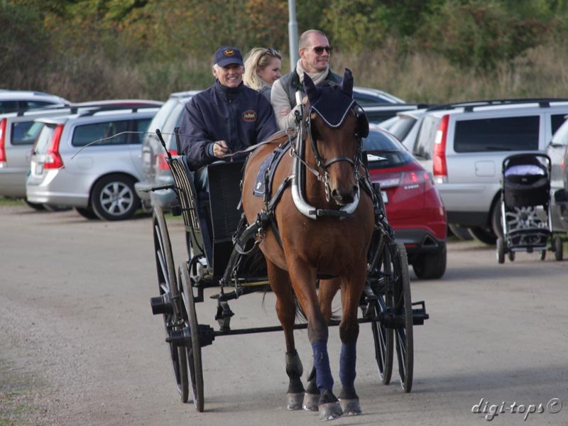 20121007_130712_0084