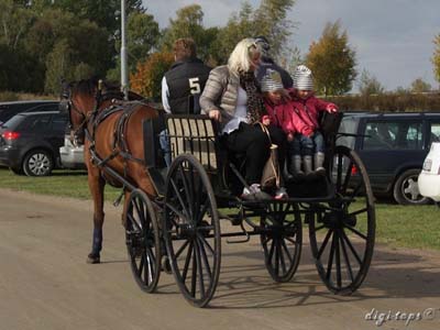 20121007_124500_0043