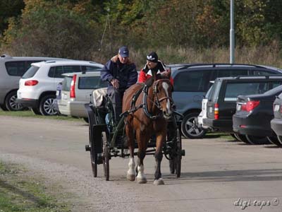 20121007_124654_0045