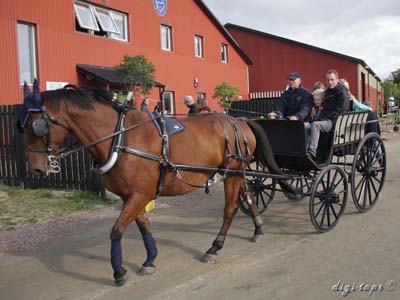 20121007_125900_0064