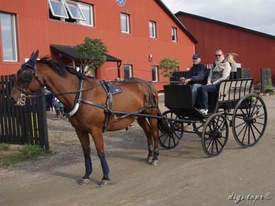 20121007_130358_0072